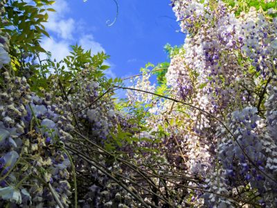 2506Wenecja, Włochy <br><i> Venice, Italy </i>