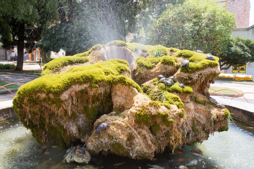 Żywa fontanna <br><i> Live fountain</i>