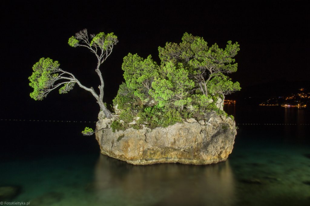 Oświetlone sosny na skalistej wysepce w Breli na tle nocnego nieba i morza.